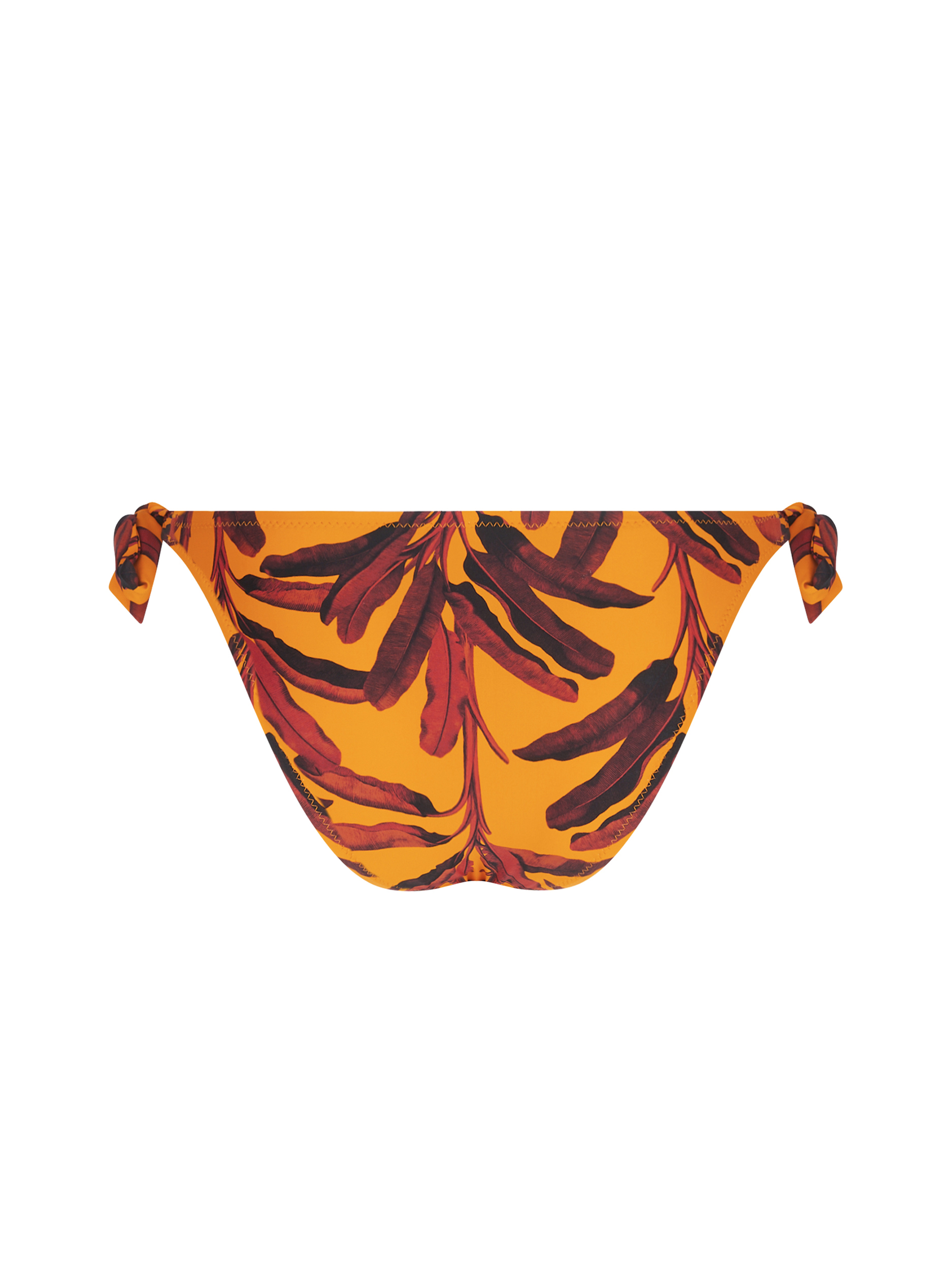 Slip bikini Antigel EBB0159 Giallo