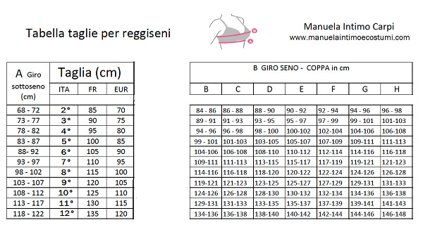 taglie reggiseno