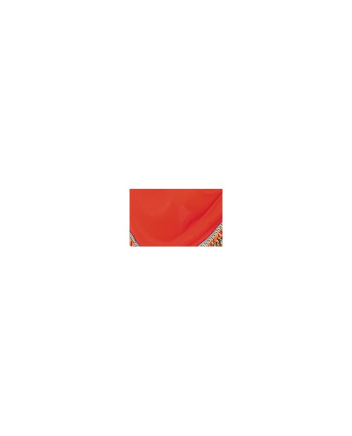 Slip bikini Charme FBA0302 bluette rosso di Antigel